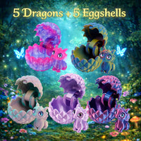 🐉Combination 2（5ps）