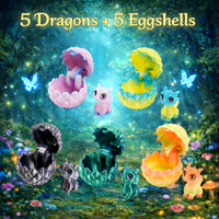🐉Combination 1（5ps）